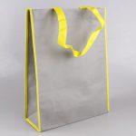 apparel-plain-non-woven-bag-02
