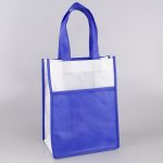 custom-printed-ultrasonic-non-woven-bag-01