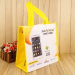 non-woven-folding-zipper-shoe-garment-polypropylene-bag-01