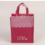 portable-recyclable-shopping-bag-non-woven-bag-01