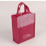 portable-recyclable-shopping-bag-non-woven-bag-02