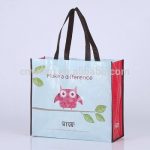 reusable-custom-pp-non-woven-grocery-shopping-bag-05